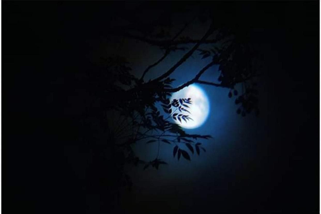月亮的别称和雅称，中秋之夜聊明月