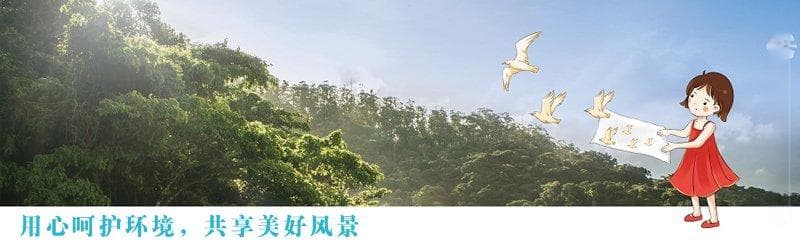 艾草：千年传承的草本之魂