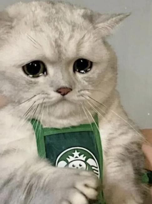 人，有时候真的需要大哭一场啊！