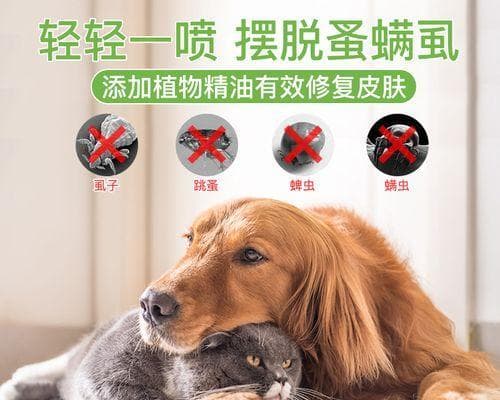 去除宠物虱子全攻略：15种方法让你告别困扰