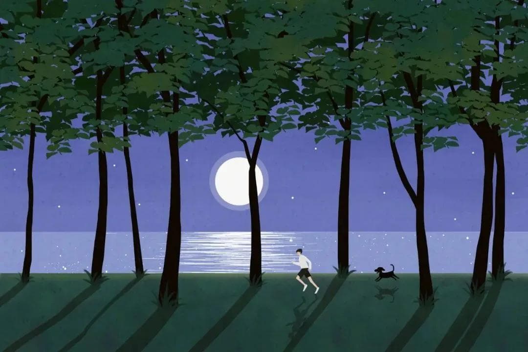 夏季夜跑“真香”，但这些安全问题不容忽视→