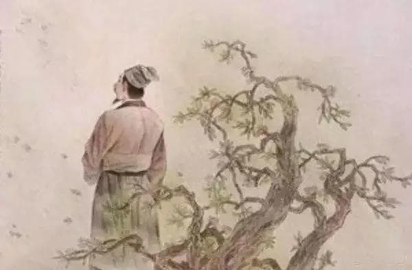 毛主席书高启《梅花》诗，笔墨淋漓，并评价其为明朝最伟大的诗人