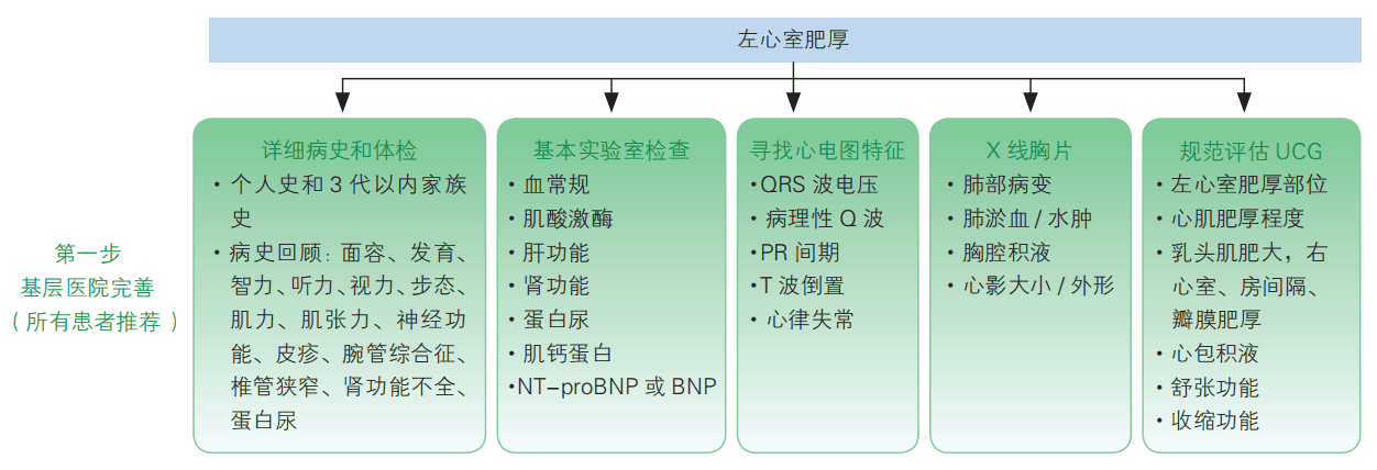 左室肥厚诊治临床路径全解析，专家共识助你精准施治！