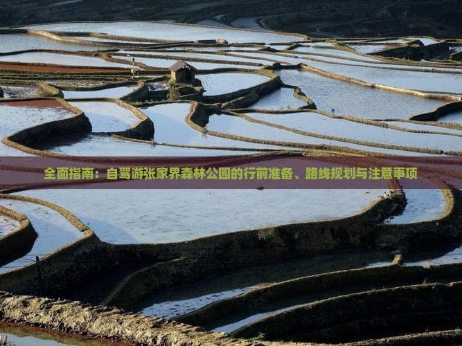 全面指南：自驾游张家界森林公园的行前准备、路线规划与注意事项