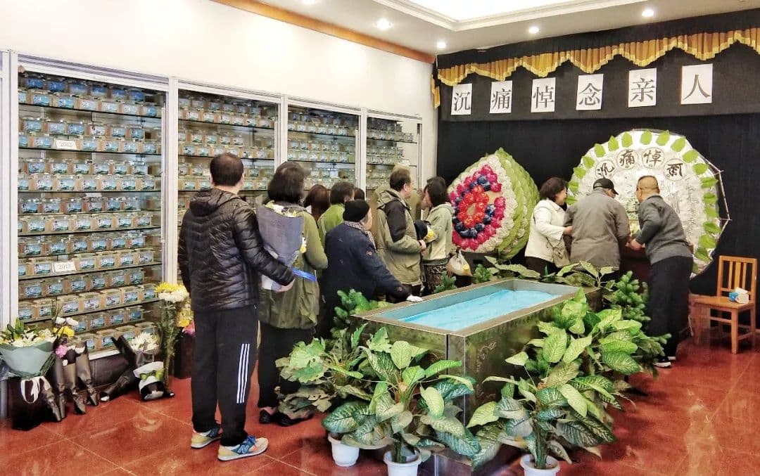 清明哀思 | 缅怀大体老师，感恩大德无言