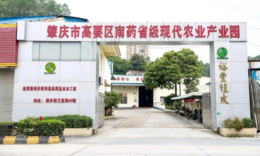 产值超百亿元！肇庆这些地道中药材超好使→