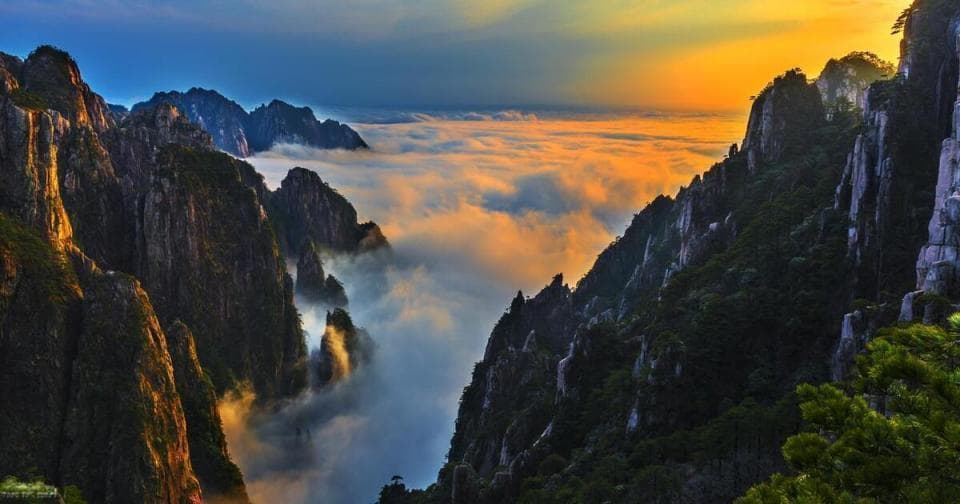 黄山张家界对比：世界级双遗产与自然遗产的较量