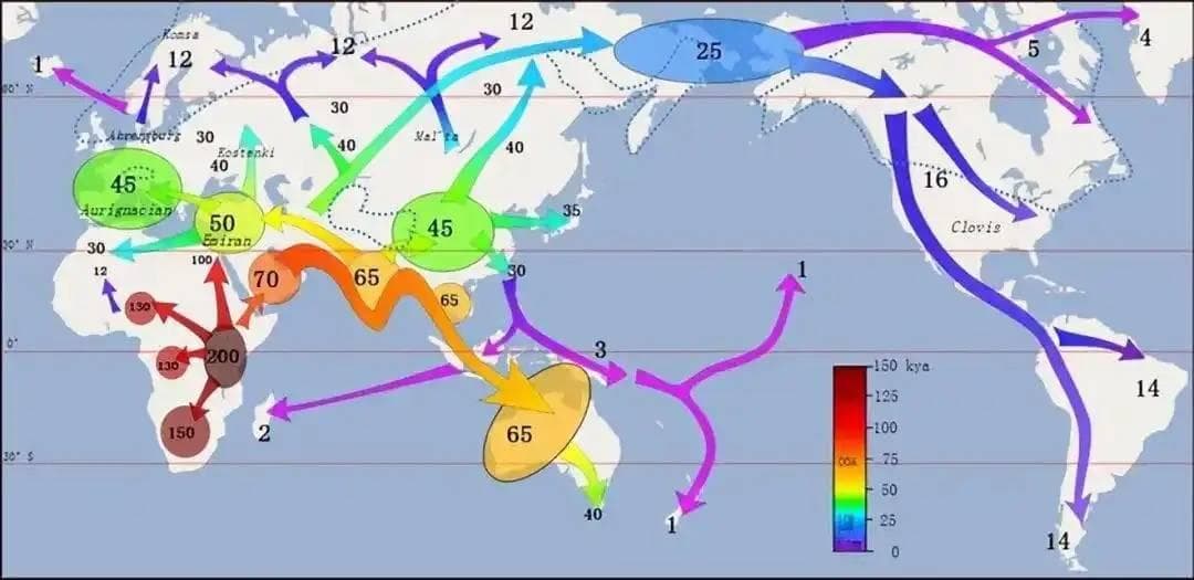 4万年前消失的尼安德特人：环境恶劣与技术停滞致文明衰落