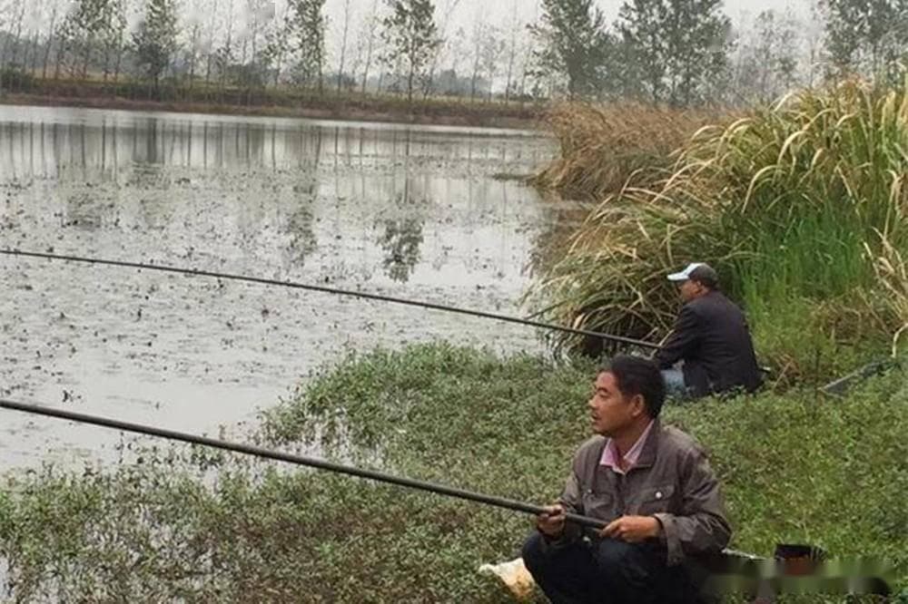 春季钓鱼的3个阶段：时机钓位完全不同，鱼情跟着气温变