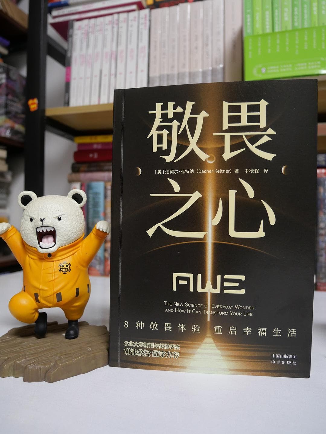 [中译]敬畏之心，一种具有巨大力量的体验