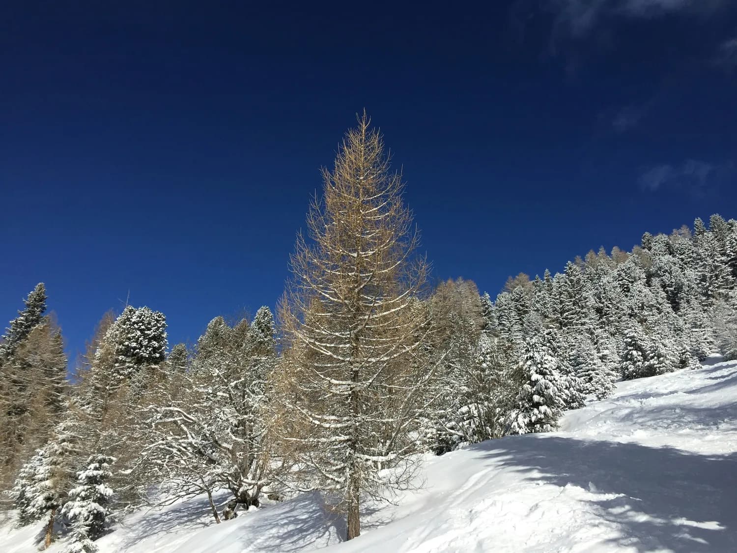 冬游芦芽山，万年冰洞等你打卡！
