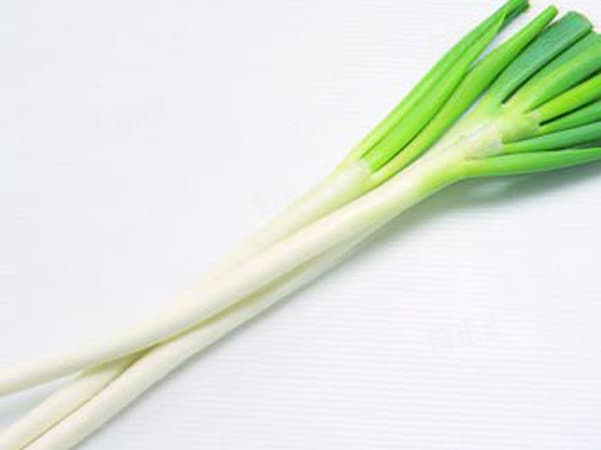 葱的功效与作用及营养价值