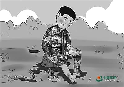 不慎被蛇咬伤怎么办？快看看被蛇咬伤的救治技巧