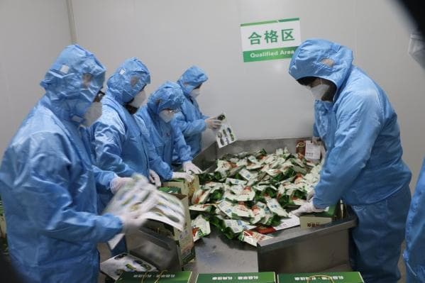 基层科普行动精准赋能甘肃乡村振兴