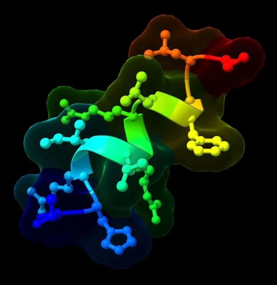 Nature重磅：AI帮助发现人体内天然减肥分子，媲美司美格鲁肽且无常见副作用