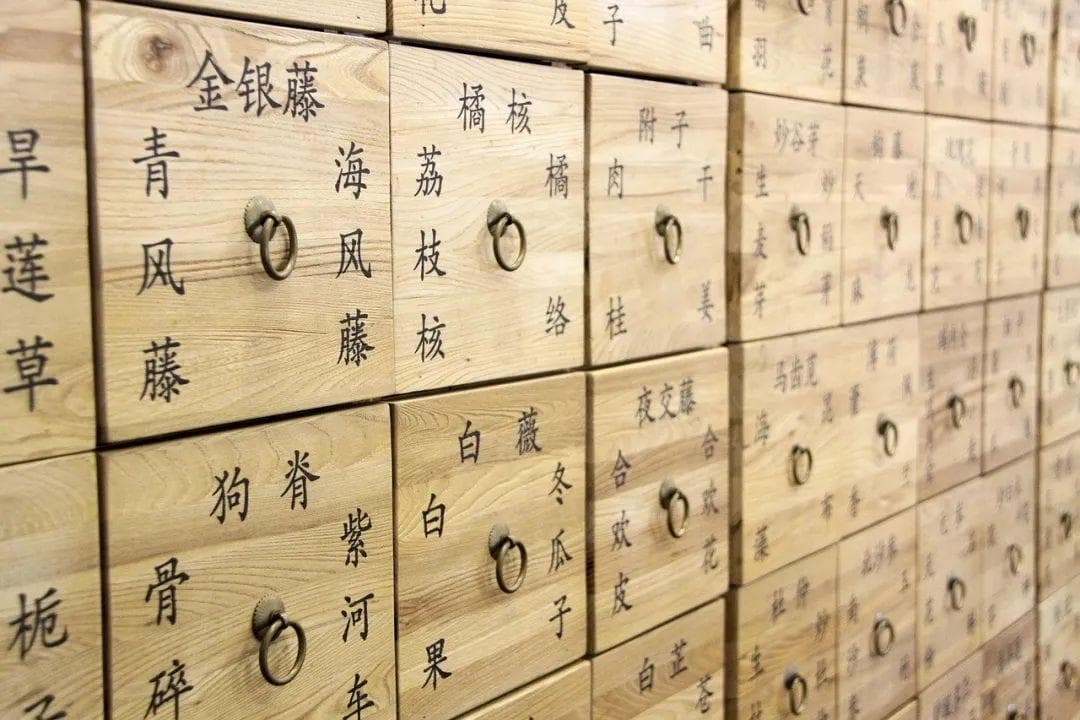 膏方服用有讲究，千万别盲目跟风