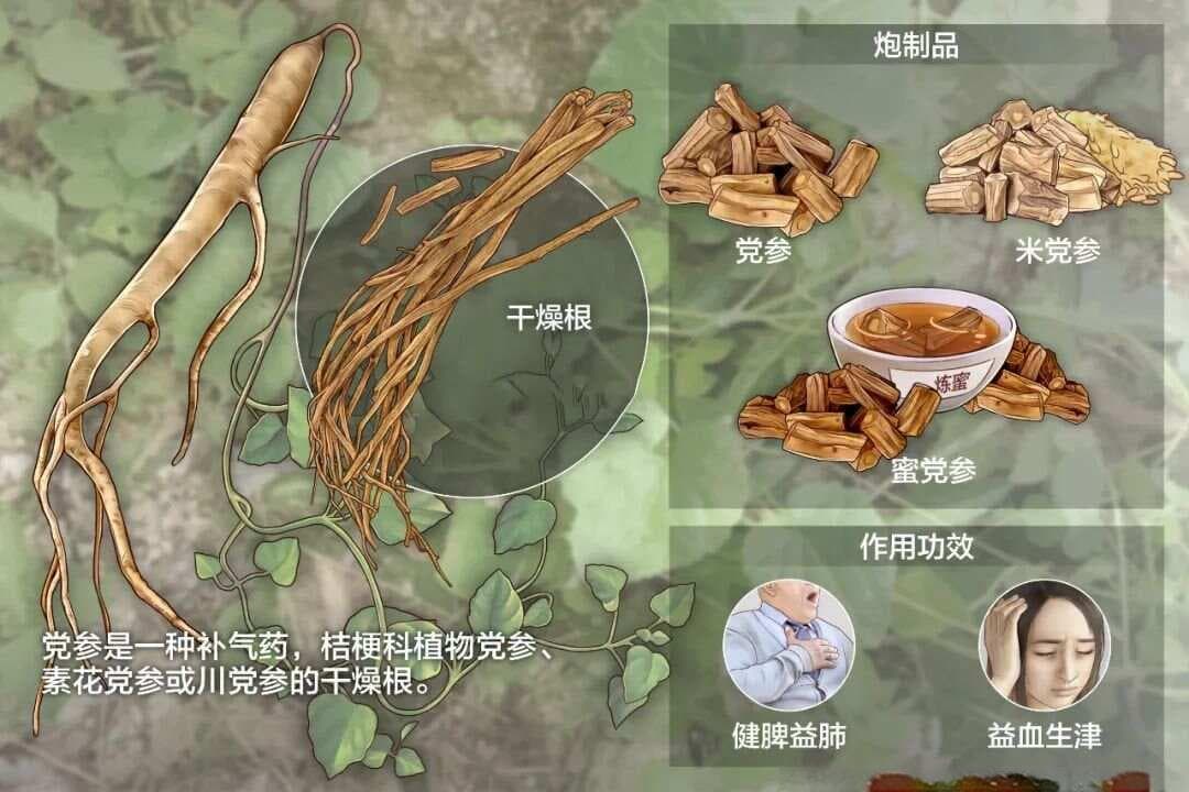 抗癌中药组方怎么选？适合自己的就是最好的，千万别乱用！