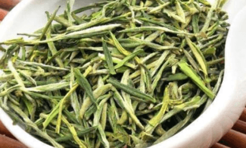 如何保存绿茶