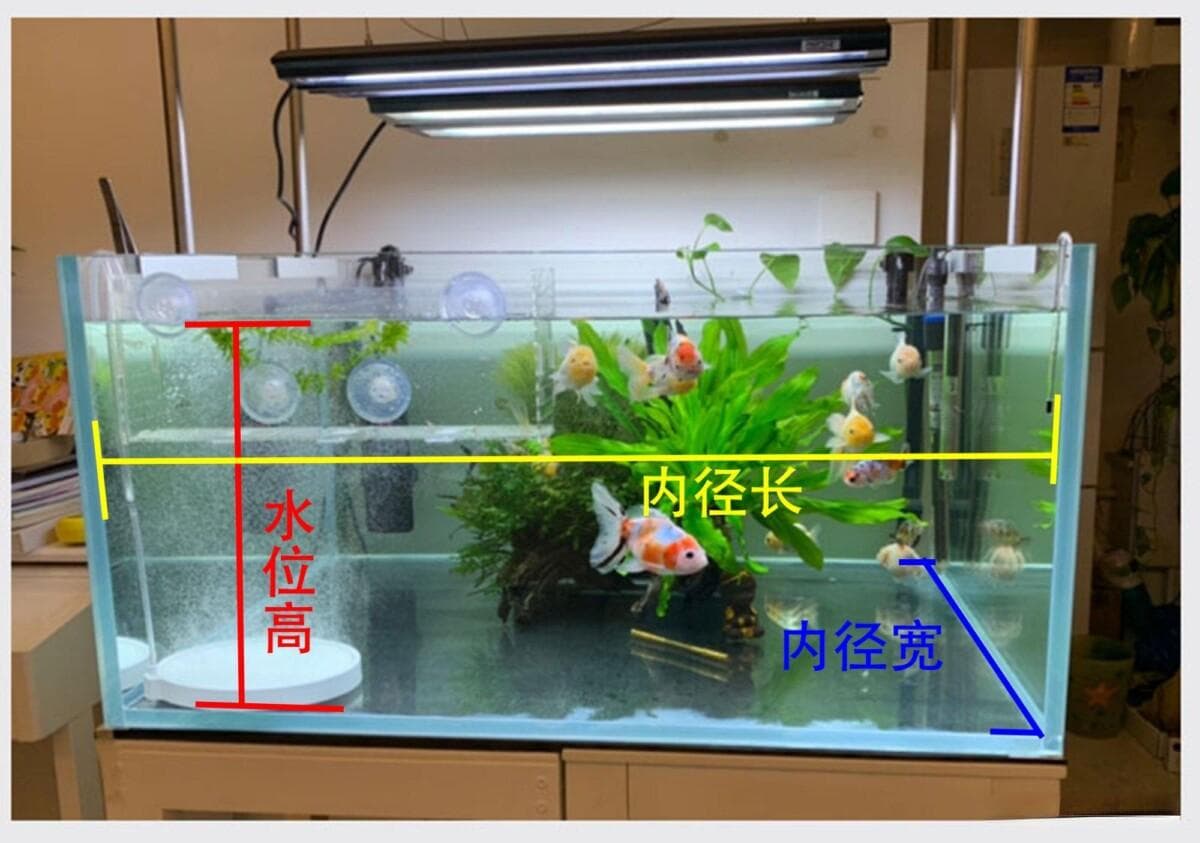 鱼缸水量计算方法公式，以及误差排除