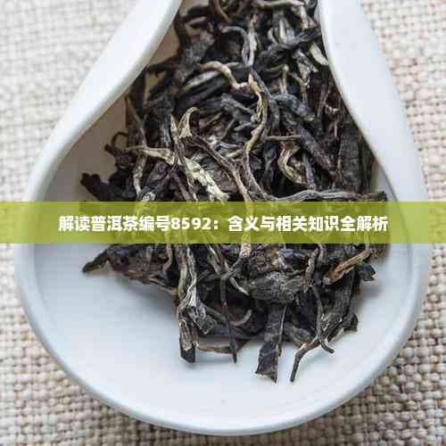 解读普洱茶编号8592：含义与相关知识全解析