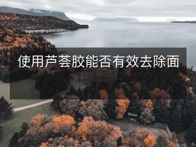 使用芦荟胶能否有效去除面部粉刺？
