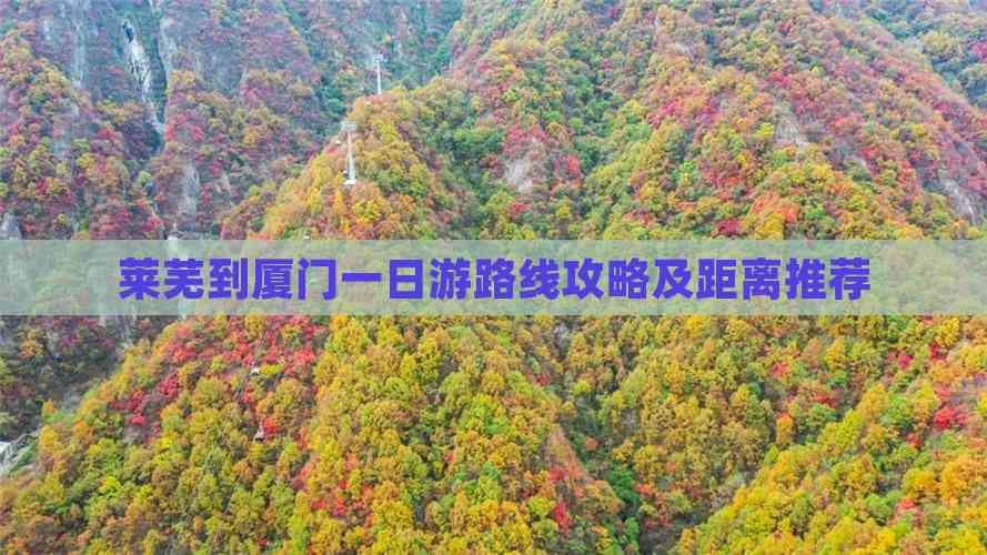 莱芜到厦门一日游路线攻略及距离推荐
