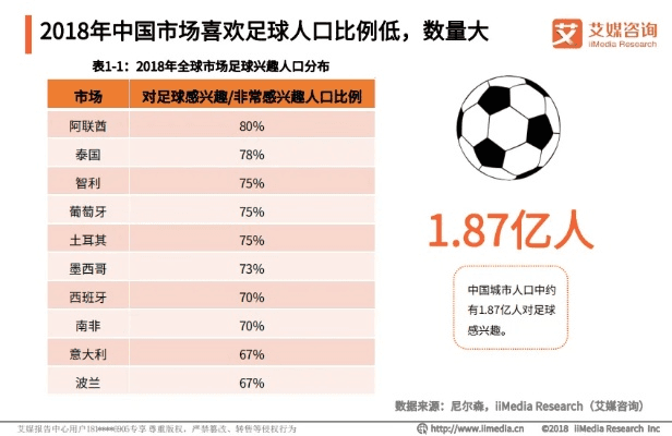 中国足球的评价：经历、现状与未来展望