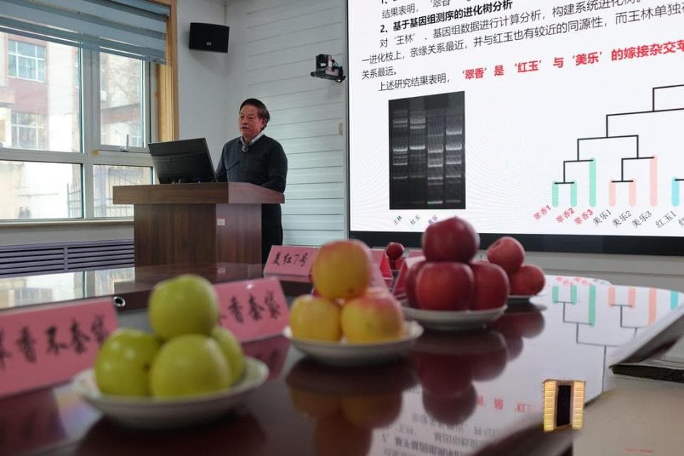 “好吃、好看、好卖！”山东农业大学育成系列红肉苹果新品种
