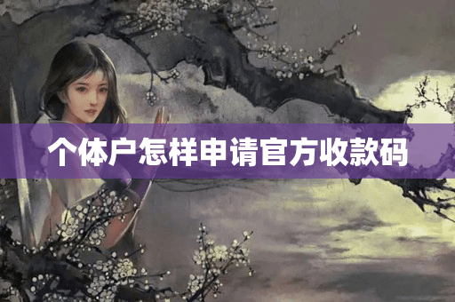 个体户怎样申请官方收款码