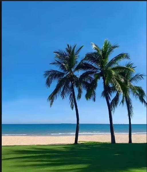盘点10款经典海南菜：舌尖上的热带风情！
