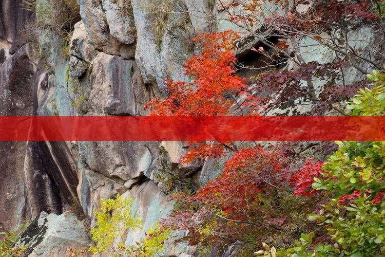 亚龙湾怎么走公交路线，去亚龙湾市区乘坐几路公交车指南