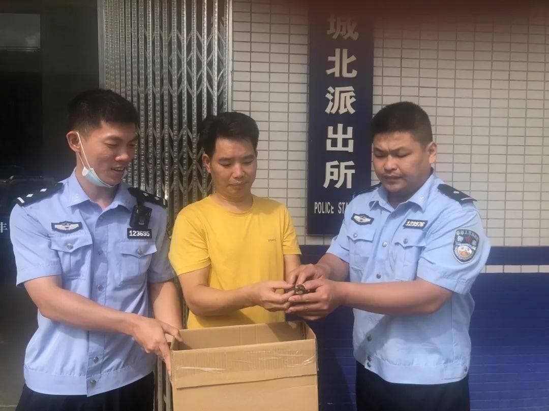 派出所上班时间揭秘：周一至周五的具体时段与周末值班安排