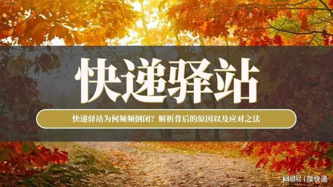 快递驿站为何频频倒闭？解析背后的原因以及应对之法