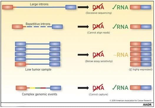 肿瘤融合基因检测双保险！DNA+RNA共检