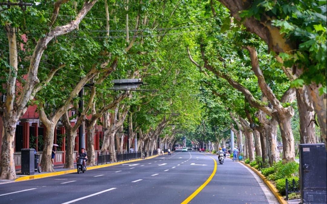 陕西南路上的“马勒别墅”，现代都市里的梦幻城堡