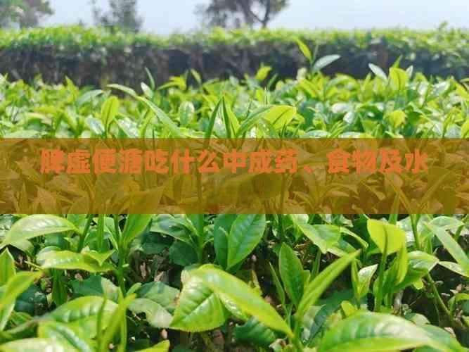 脾虚便溏吃什么中成药、食物及水果好
