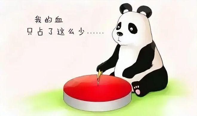 揭秘熊猫血：比人类稀有血型更罕见的神秘存在