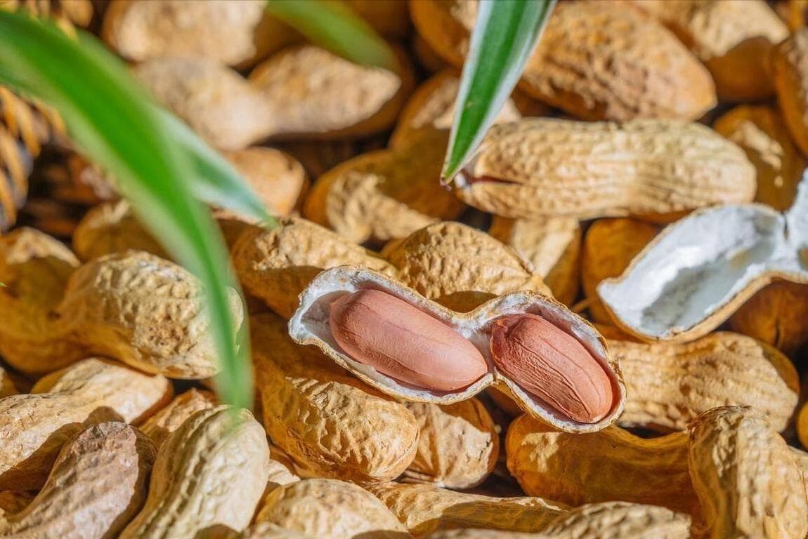 水煮花生制作技巧：两个小窍门让花生更入味