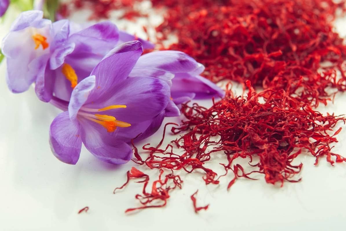藏红花饮用的正确步骤与常见误区