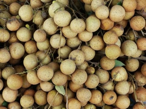 泰国北部龙眼上市，产量将达近100万吨