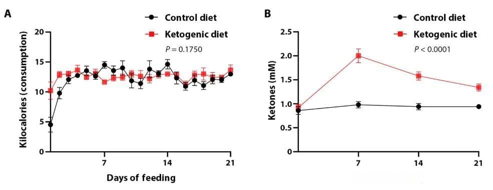 《科学》子刊：生酮饮食会促进细胞衰老