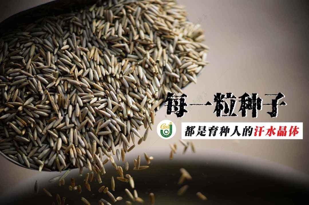 公司成立之初，特别重视品种的收集和种质资源的积累