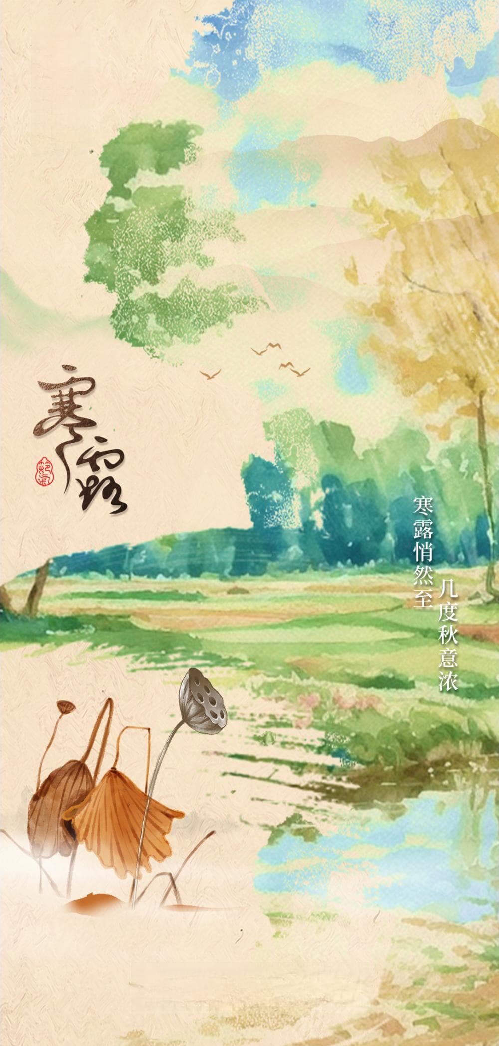 节令之美｜寒露遇上重阳节，赏菊登高觅秋色