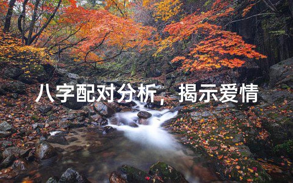 八字配对分析，揭示爱情和谐秘诀