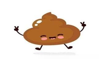 探索身体的奥秘：大便，健康的隐形信使