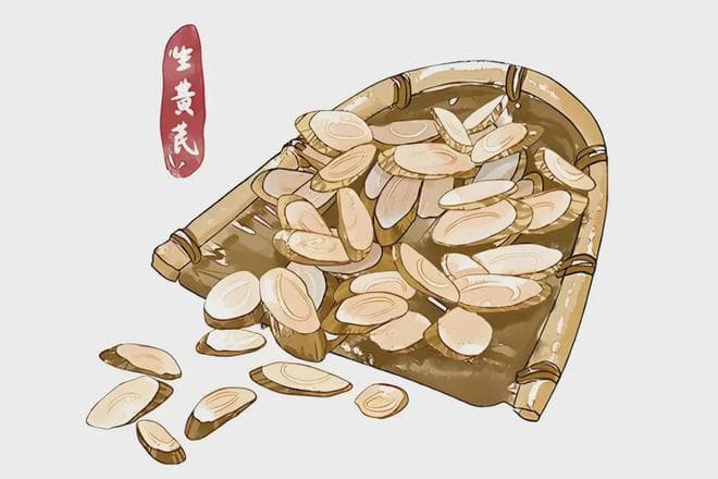 癌症患者用黄芪、当归泡水，能否增强免疫力？
