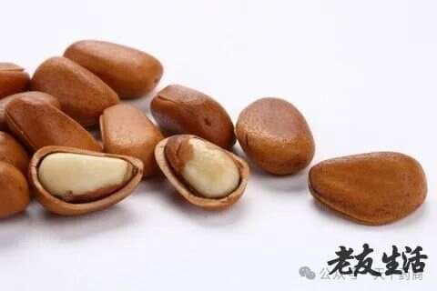 松子的24大功效与作用-6种食用方法及禁忌