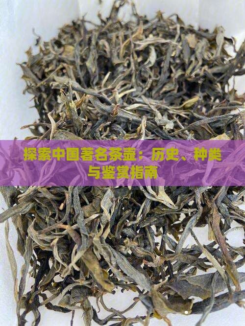 探索中国著名茶壶：历史、种类与鉴赏指南