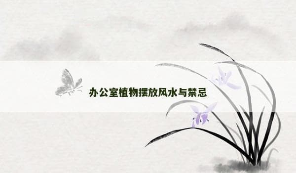 办公室植物摆放风水与禁忌