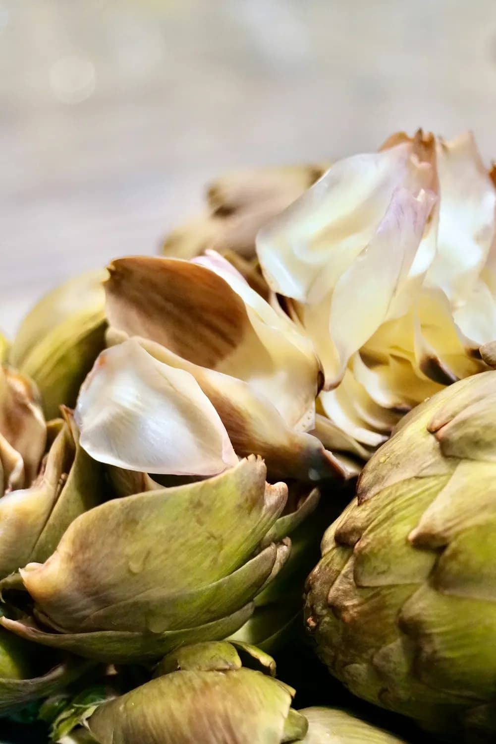 研究证实：菊苣粉可降低8.5%空腹血糖，改善胰岛素敏感性
